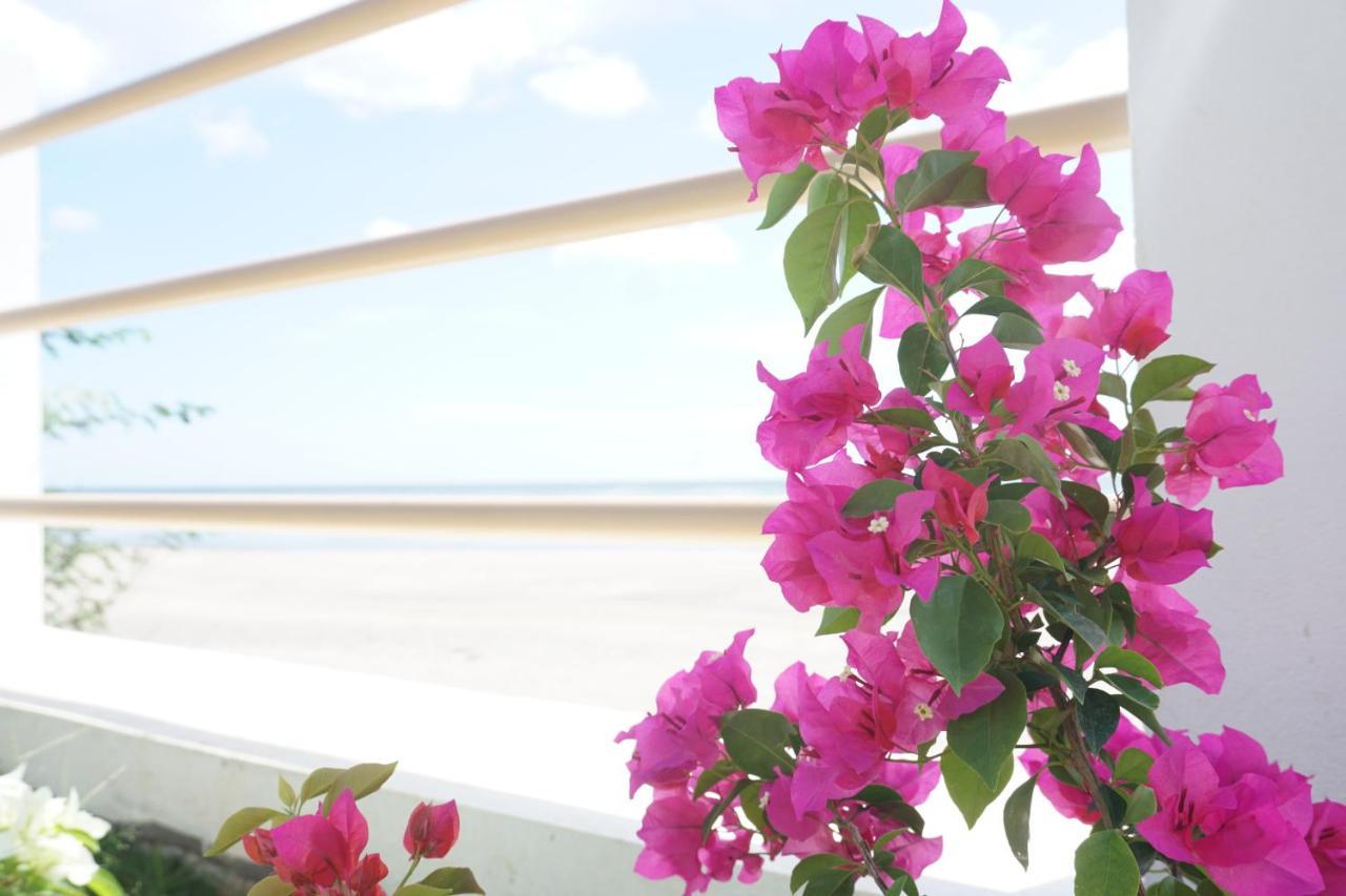 Amahula Beach House, Pool&Surf Salinas Luaran gambar